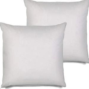 set of 2 EURO sized pillow inserts